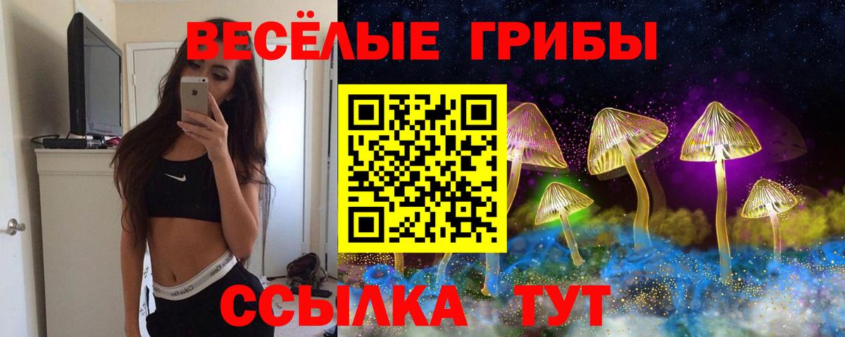 Новокубанск  Галлюциногенные грибы Psilocybe  Вход с VPN 