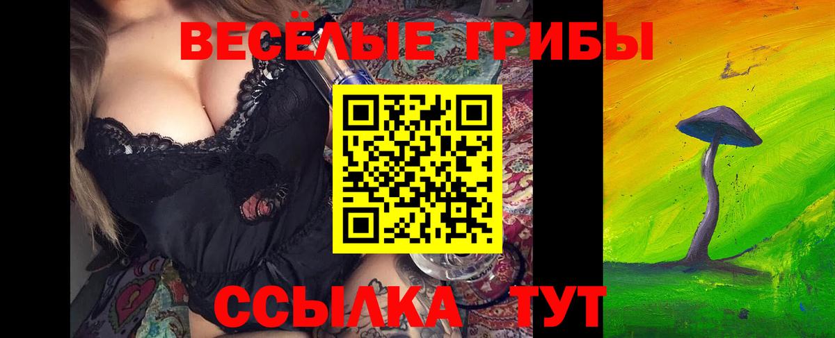 Галлюциногенные грибы Magic Shrooms Новокубанск